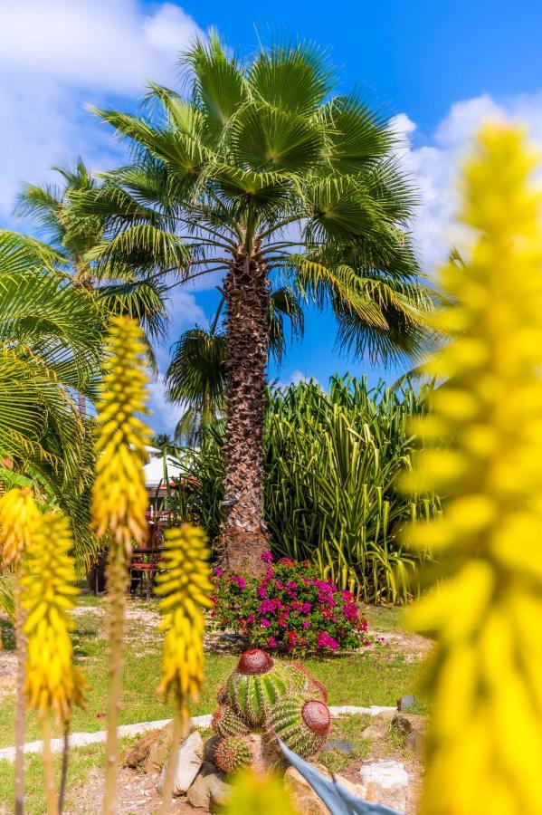 Orient Bay Palm Court Residence 4 Stars Quarter of Orleans Exterior foto